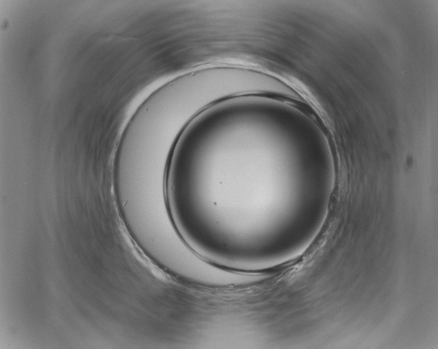 X0000067950862200604201429