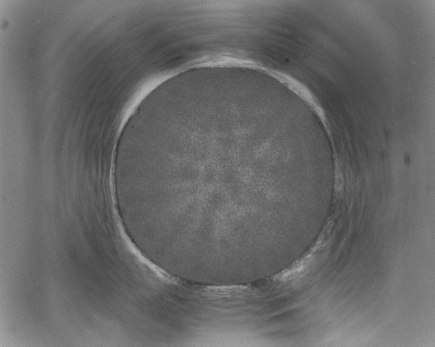 X0000067950863200604201429