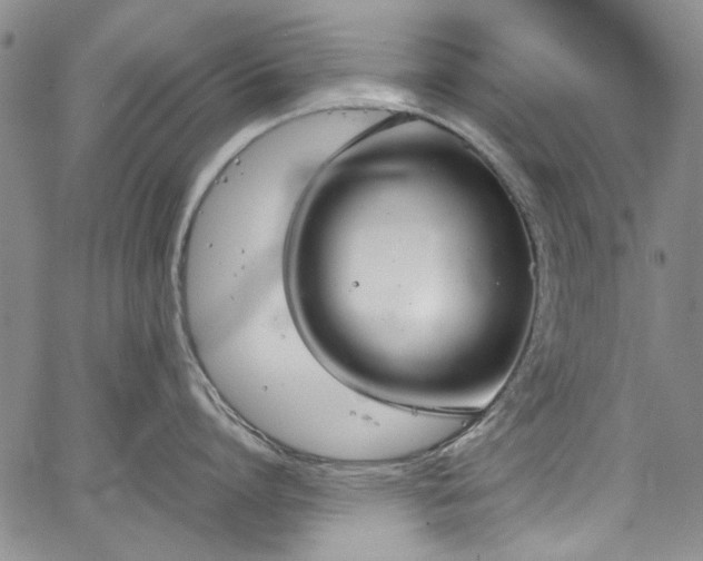 X0000067950864200604201429