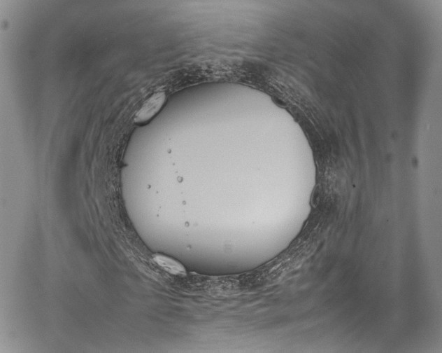 X0000067950865200604201429