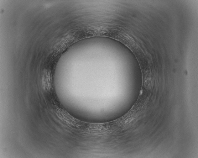 X0000067950866200604201429