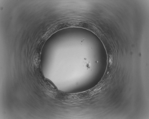 X0000067950867200604201429