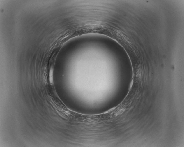 X0000067950868200604201429