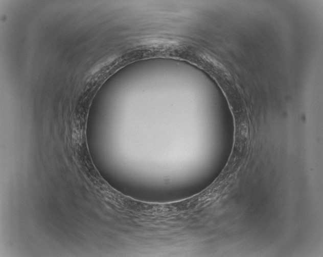 X0000067950869200604201429