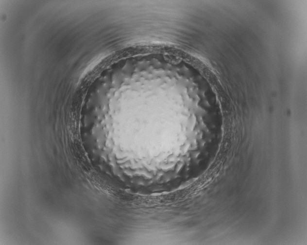 X0000067950871200604201429