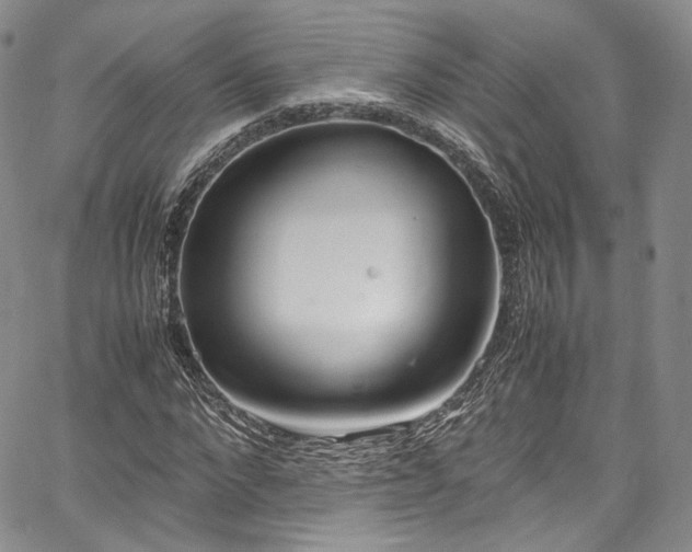 X0000067950872200604201429