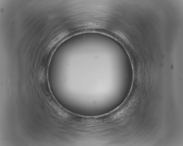 X0000067950873200604201429