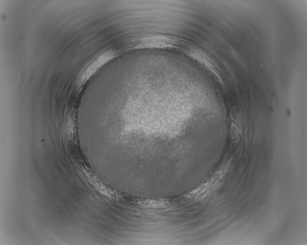 X0000067950874200604201429