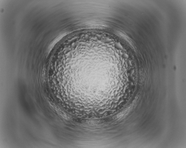 X0000067950875200604201428