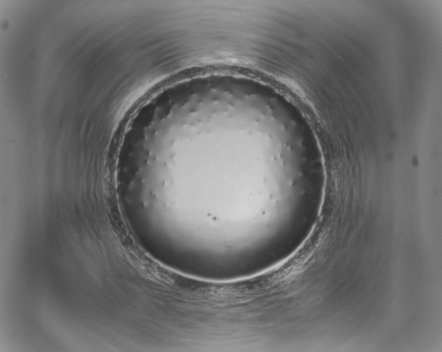 X0000067950879200604201428