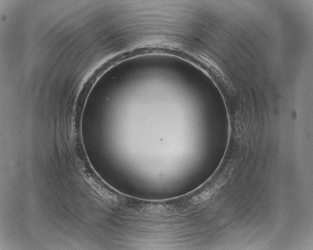 X0000067950880200604201428