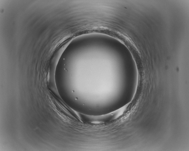 X0000067950881200604201428