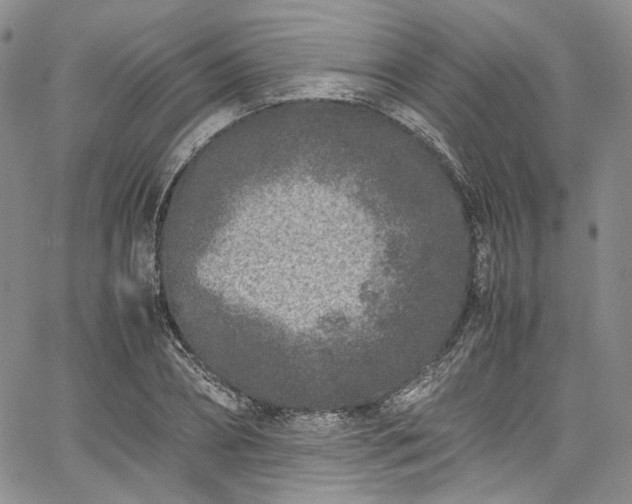 X0000067950882200604201428