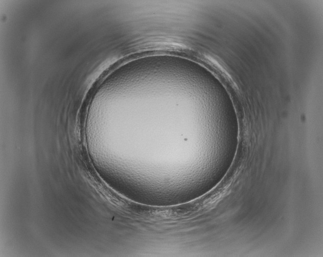 X0000067950883200604201428