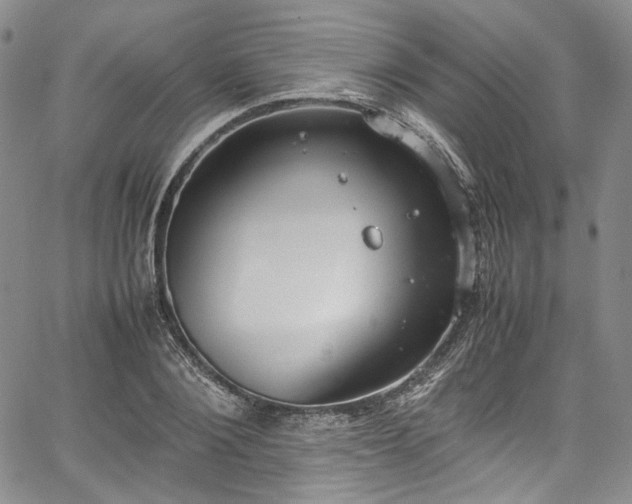 X0000067950884200604201428