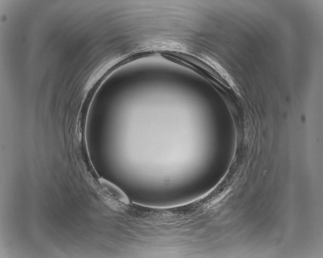 X0000067950885200604201428