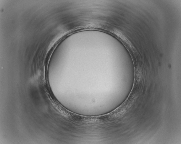 X0000067950886200604201428