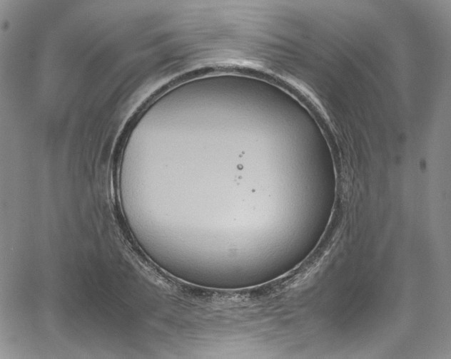 X0000067950887200604201428