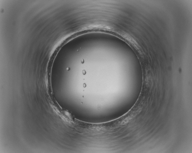 X0000067950888200604201428