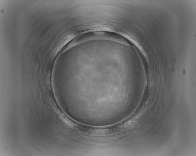 X0000067950889200604201428