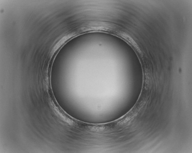 X0000067950890200604201428