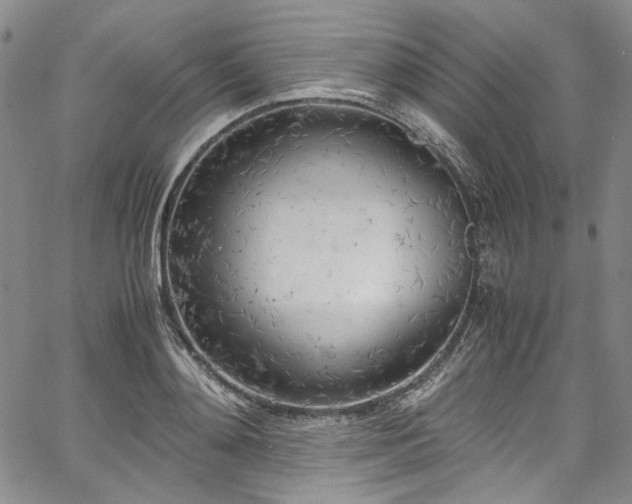 X0000067950892200604201428