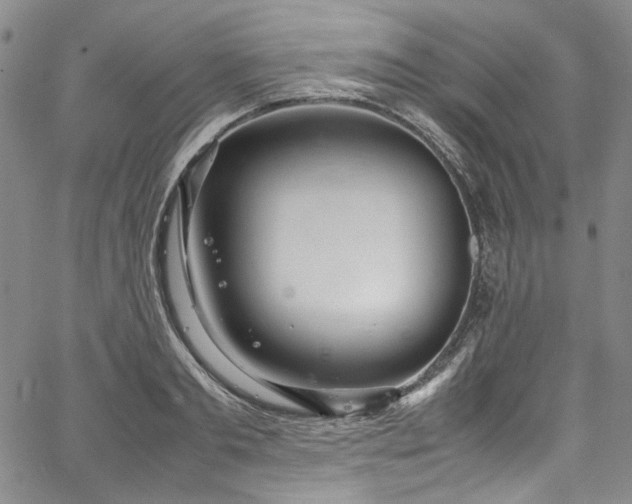 X0000067950893200604201428