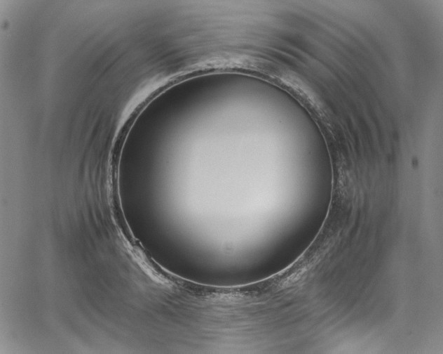 X0000067950894200604201428