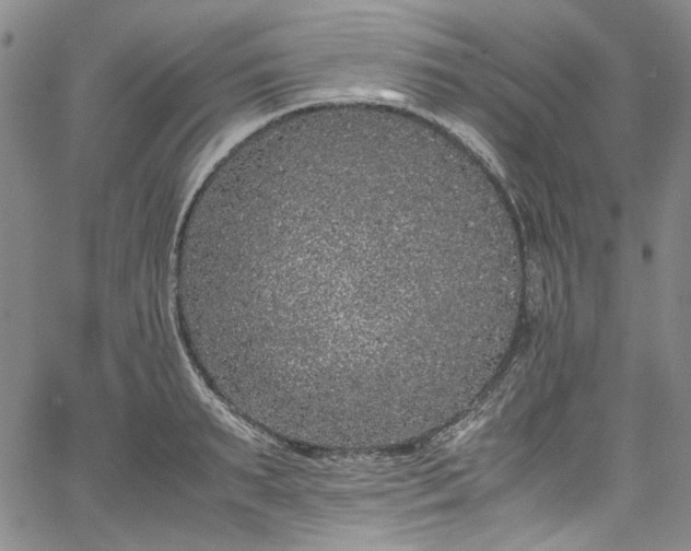 X0000067950895200604201428