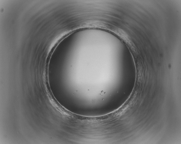 X0000067950896200604201428