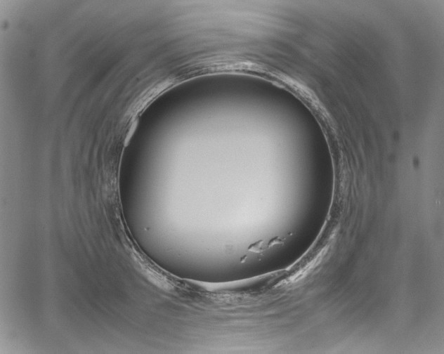 X0000067950897200604201428