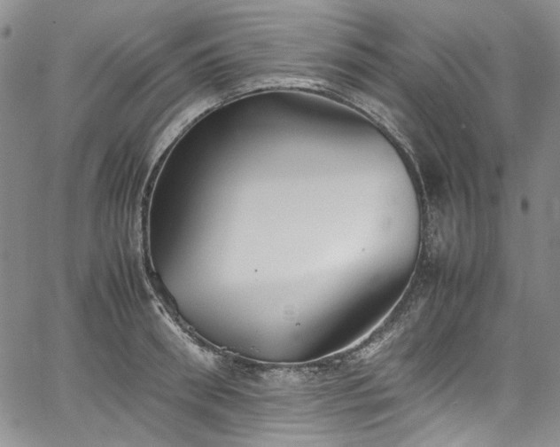 X0000067950898200604201428