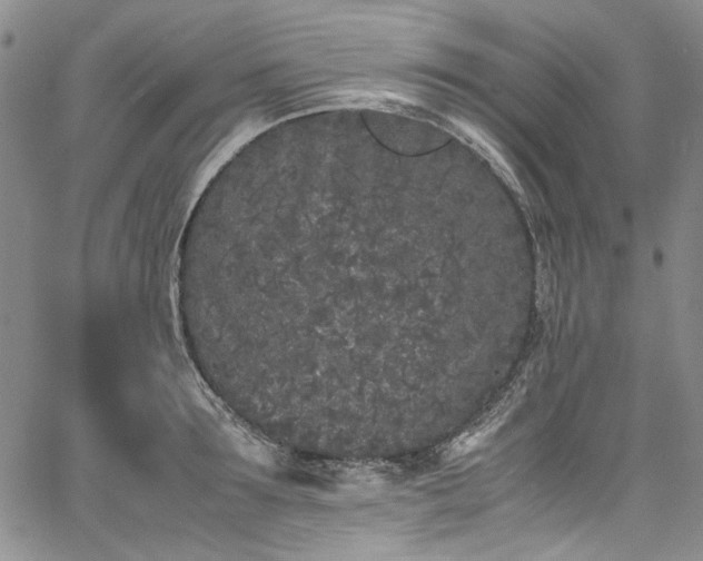 X0000067950899200604201428