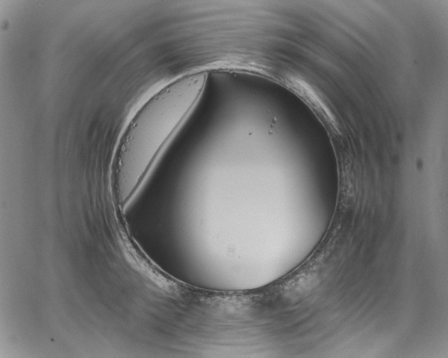 X0000067950900200604201428