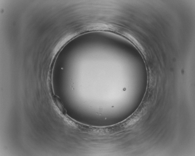 X0000067950901200604201428