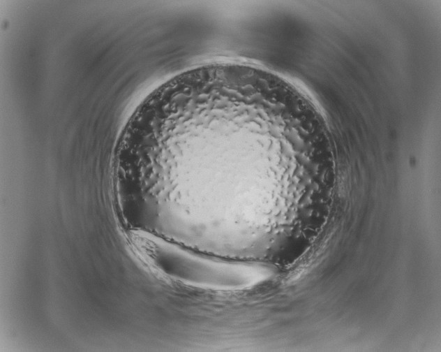 X0000067950903200604201428