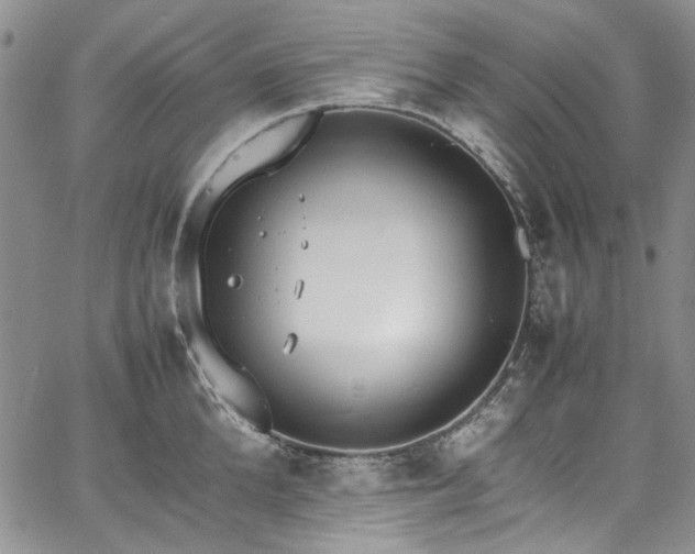 X0000067950904200604201428