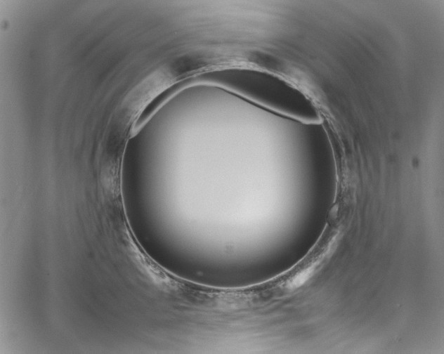 X0000067950905200604201428