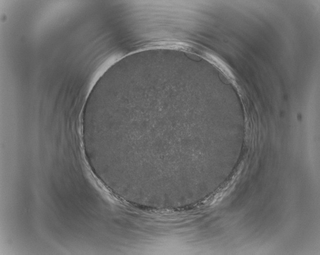 X0000067950907200604201428