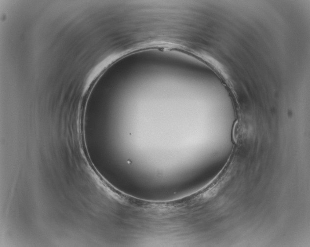 X0000067950910200604201428