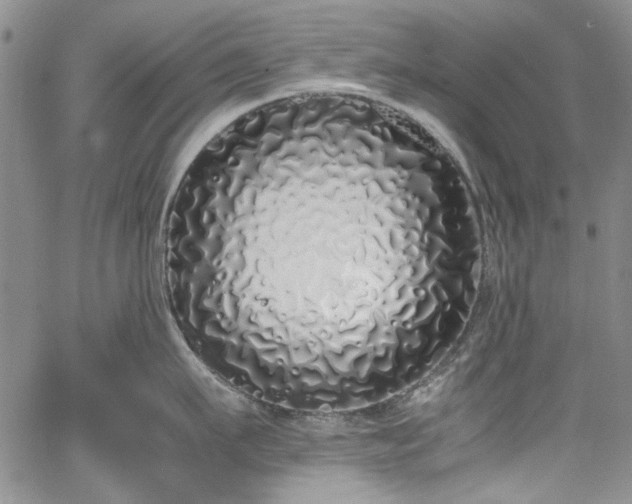 X0000067950911200604201428