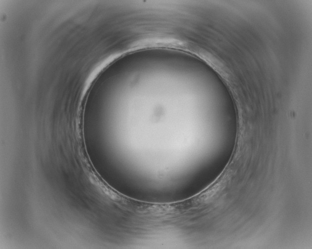 X0000067950912200604201428