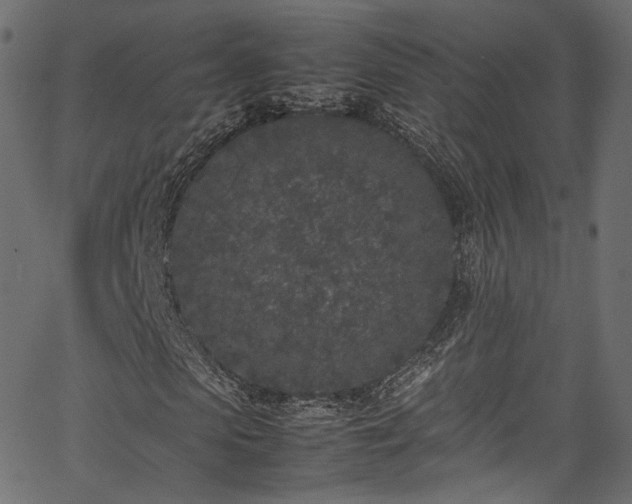 X0000067950913200604201427