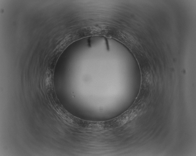 X0000067950914200604201427