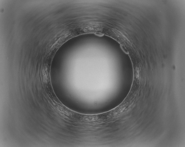 X0000067950915200604201427