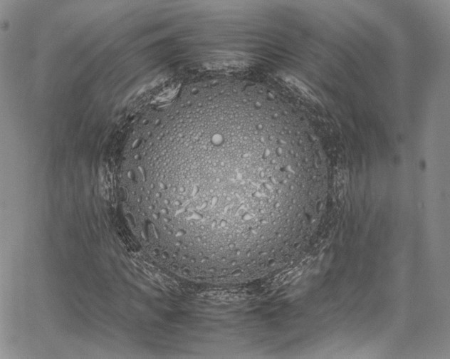 X0000067950917200604201427