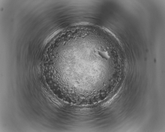 X0000067950921200604201427