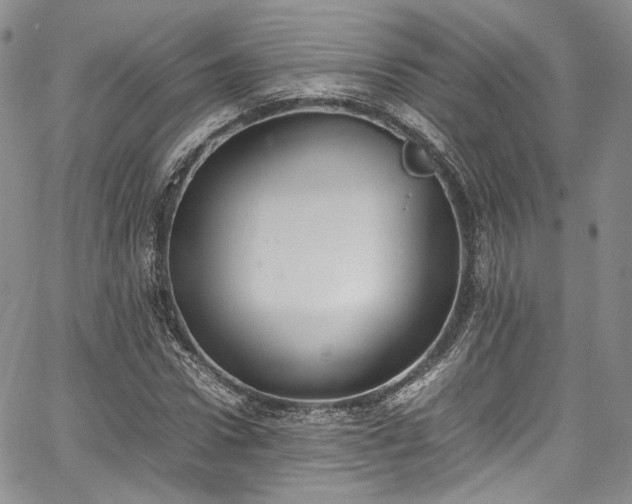 X0000067950922200604201427