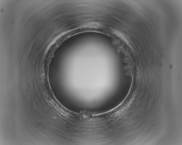 X0000067950923200604201427