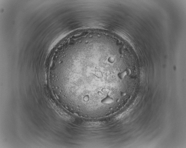 X0000067950925200604201427